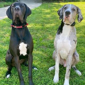 Meet your Posher, Marri jayne